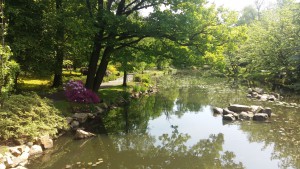 Ogród Japoński 